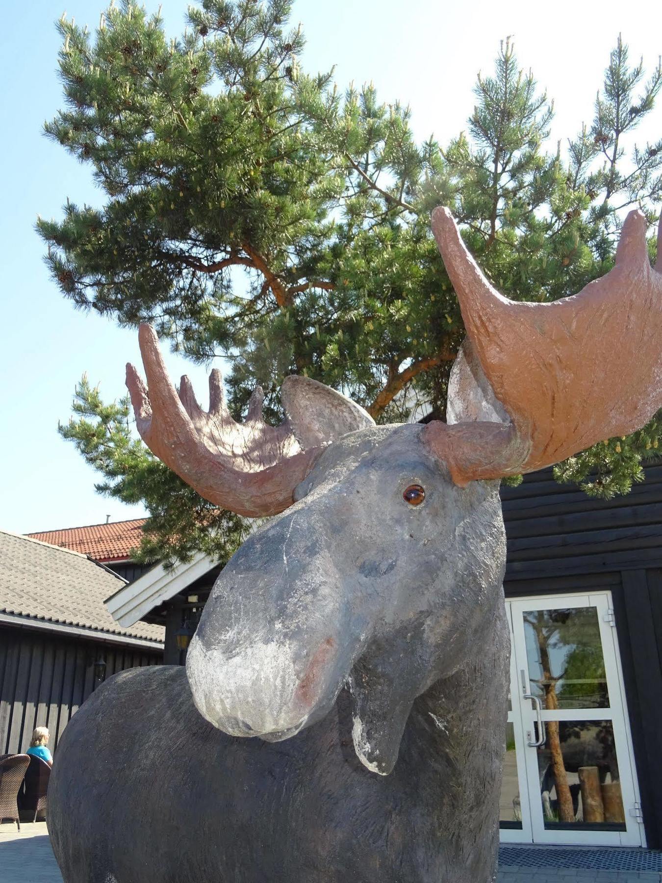 Thon Partner Elgstua Hotel Elverum Buitenkant foto